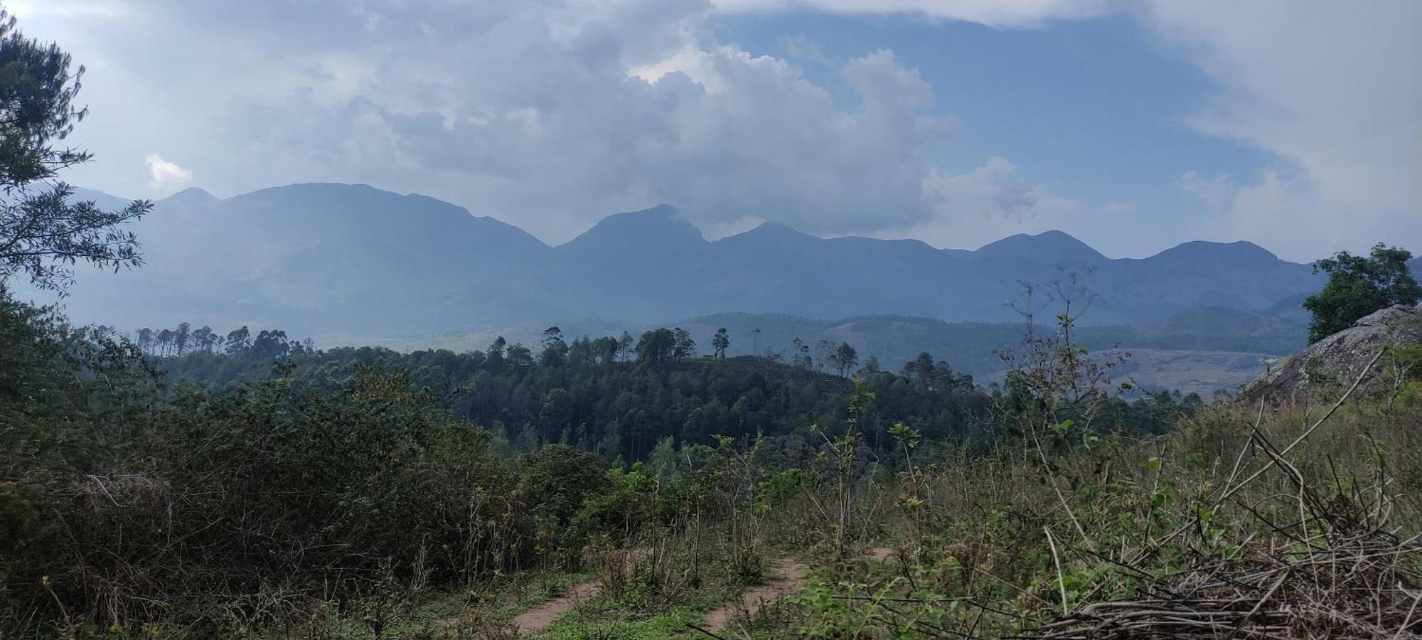 El Lora Resldency Bed & Breakfast Munnar Dış mekan fotoğraf